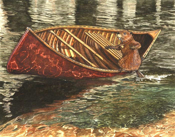 Beaver paddling a canoe