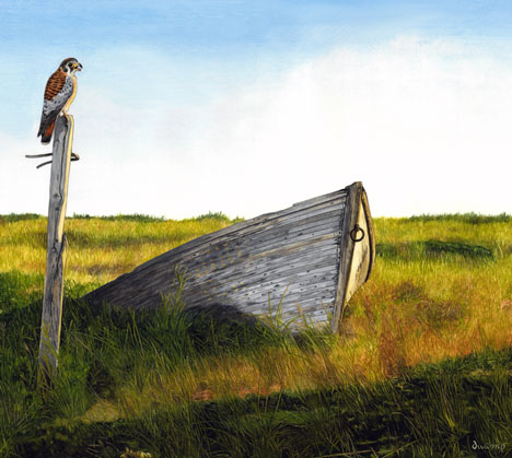 Oceans of Grass, kestrel, old boat, grassy shore, bird of prey